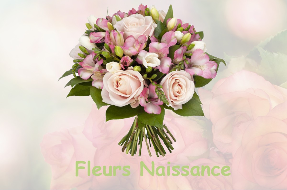 fleurs naissance MALVEZIE