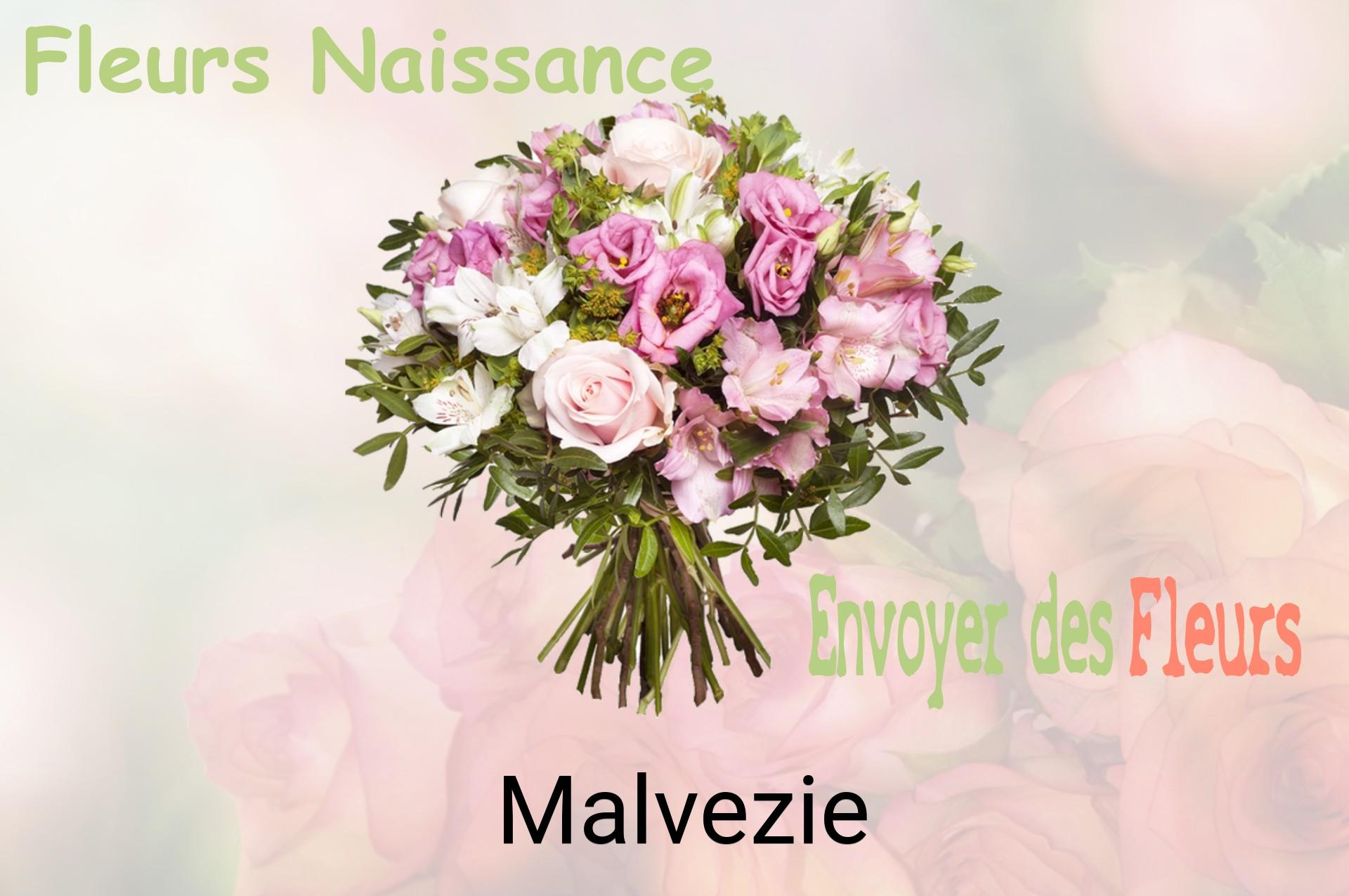 Bouquet de fleurs de naissance livré à Malvezie