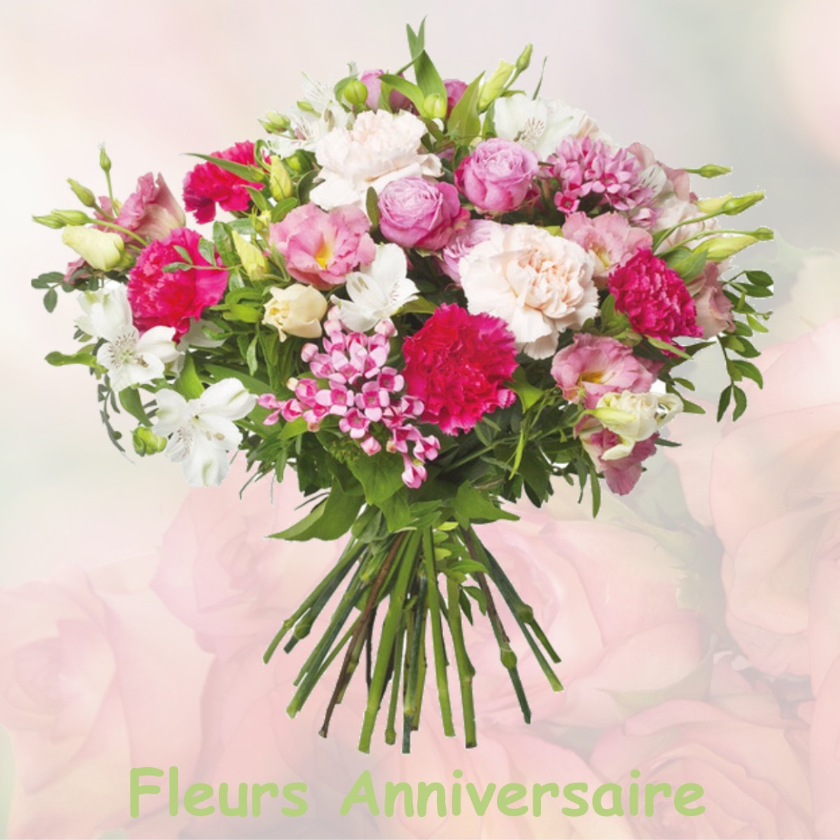 fleurs anniversaire MALVEZIE