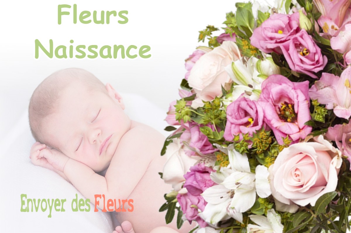 lIVRAISON FLEURS NAISSANCE à MALVEZIE